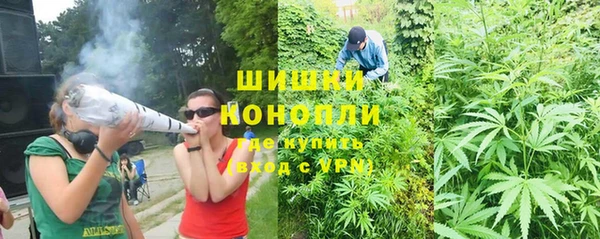 дурь Алзамай