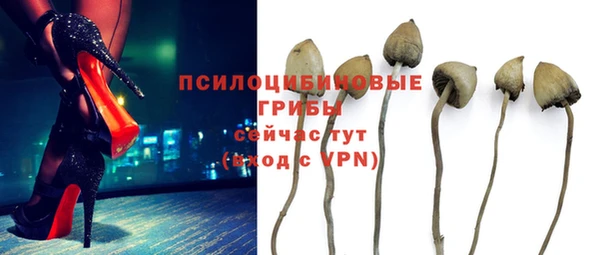 метадон Алексин