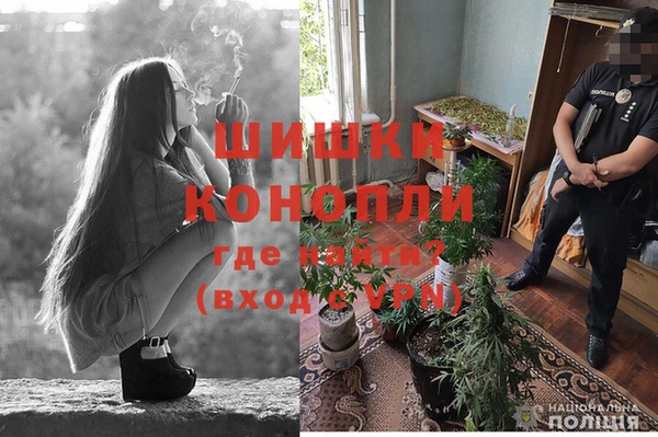 метадон Алексин