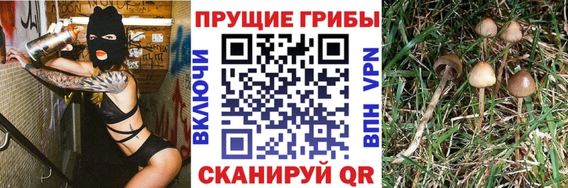 hydra ССЫЛКА  Салехард  Галлюциногенные грибы ЛСД  где купить наркоту 